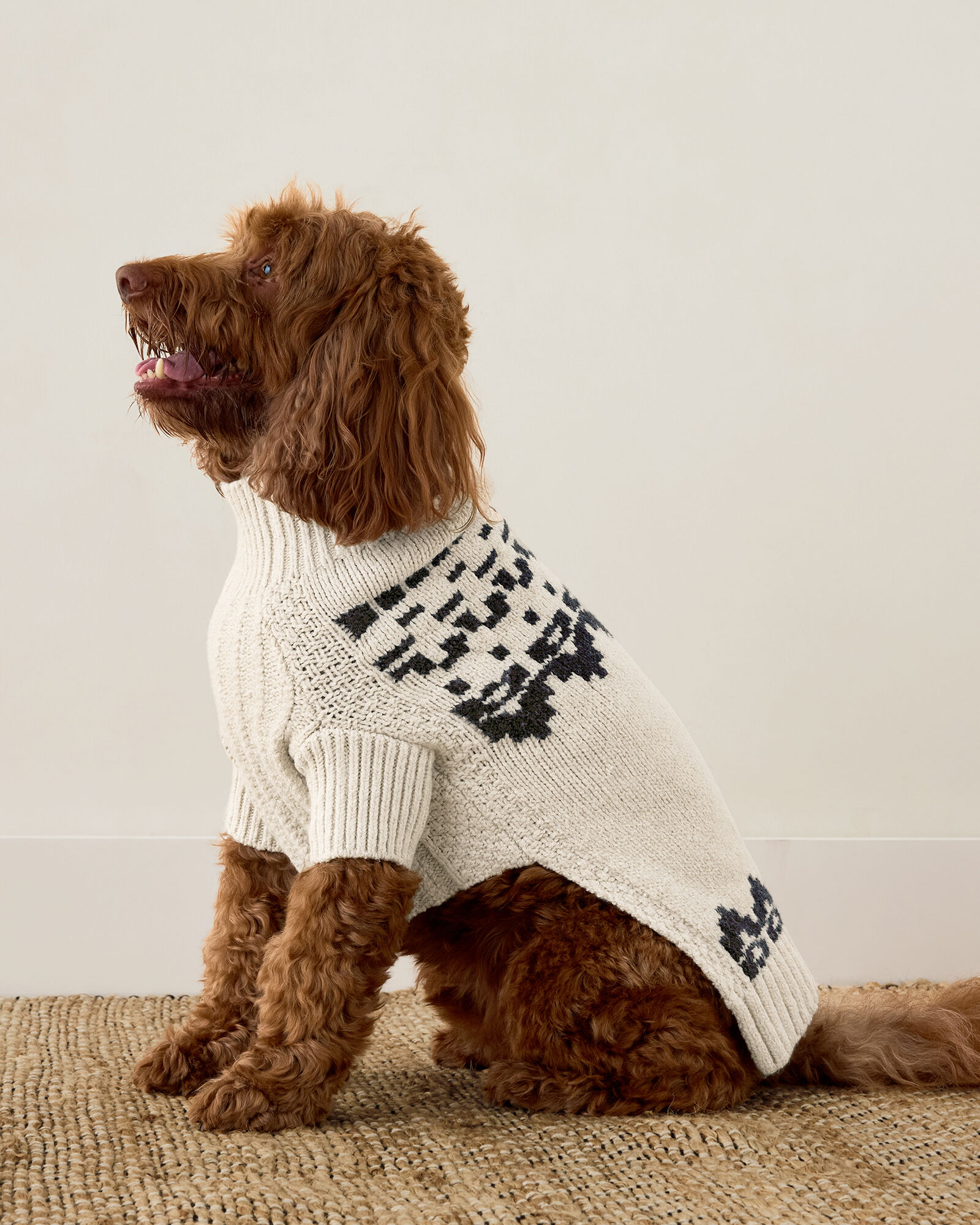 Organic Cotton Blend Juneau Fair Isle Dog Sweater