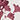 Organic Cotton Jersey Blushing Blooms Pajama Shirt